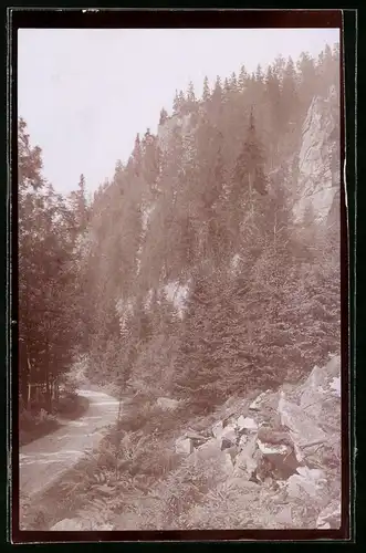 Fotografie Brück & Sohn Meissen, Ansicht Marienberg i. Sa., Partie am Katzenstein im Schwarzwassertal