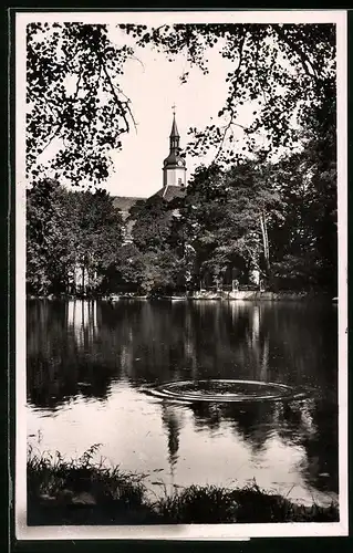 Fotografie Brück & Sohn Meissen, Ansicht Pulsnitz i. Sa., Blick über den Schlossteich zur Kirche