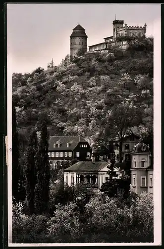 Fotografie Brück & Sohn Meissen, Ansicht Kötzschenbroda, Blick aus dem Ort mit Villen zum Gasthaus Friedenburg