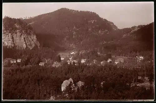 Fotografie Brück & Sohn Meissen, Ansicht Kipsdorf i. Erzg., Blick über den Wald auf den Ort