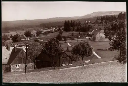 Fotografie Brück & Sohn Meissen, Ansicht Schellerhau i. Erzg., Blick in den Ort mit Wohnhäusern