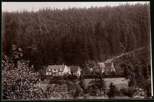 Fotografie Brück & Sohn Meissen, Ansicht Bad Berggiesshübel, Blick auf Zwiesel mit Gasthaus Waldfrieden