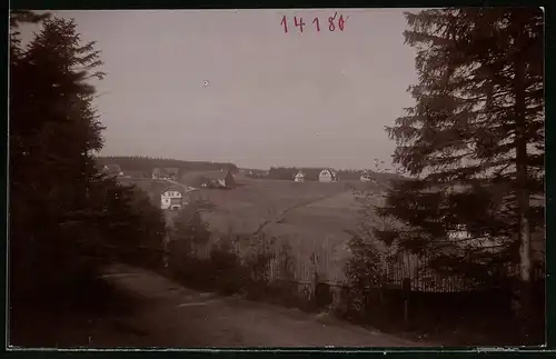 Fotografie Brück & Sohn Meissen, Ansicht Oberbärenburg i. Erzg., Blick aus dem Wald zum Ort