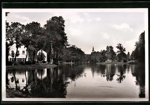 Fotografie Brück & Sohn Meissen, Ansicht Pulsnitz i. Sa., Blick über den Schlossteich mit Wohnhäusern