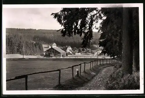 Fotografie Brück & Sohn Meissen, Ansicht Steinbach b. Johanngeorgenstadt, Blick aus dem Wald auf den Ort