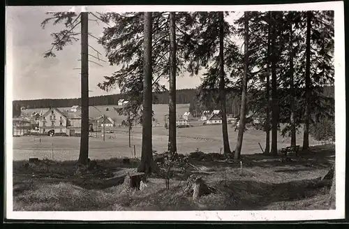 Fotografie Brück & Sohn Meissen, Ansicht Steinbach b. Johanngeorgenstadt, Blick vom Wald zum Ort