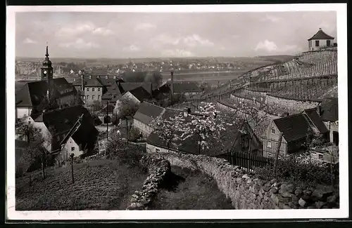 Fotografie Brück & Sohn Meissen, Ansicht Seusslitz, Blick auf den Ort mit Kirche und Weinbergen