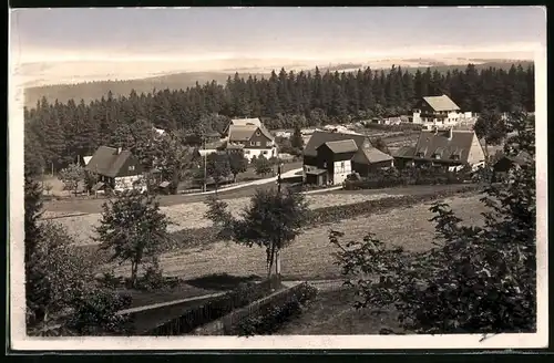 Fotografie Brück & Sohn Meissen, Ansicht Oberbärenburg i. Erzg., Blick in den Ort mit Wohnhäusern