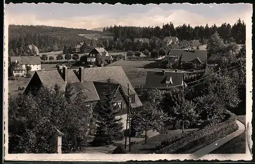 Fotografie Brück & Sohn Meissen, Ansicht Oberbärenburg i. Erzg., Blick in den Ort mit Wohnhäusern