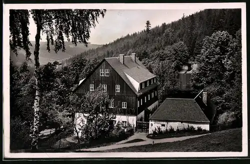 Fotografie Brück & Sohn Meissen, Ansicht Bärenfels i. Erzg., Blick auf das alte Forsthaus