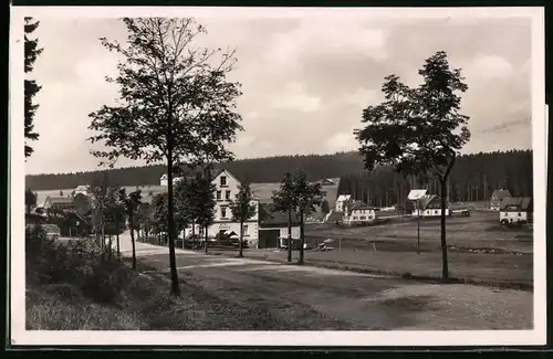 Fotografie Brück & Sohn Meissen, Ansicht Steinbach b. Johanngeorgenstadt, Blick in den Ort mit Wohnhaus