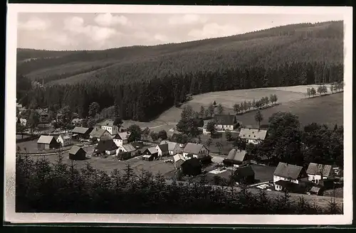 Fotografie Brück & Sohn Meissen, Ansicht Wildenthal i. Erzg., Blick auf den Ort mit Wohnhäusern