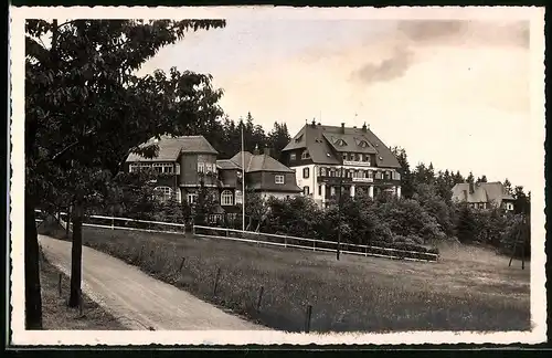 Fotografie Brück & Sohn Meissen, Ansicht Oberbärenburg i. Erzg., Blick auf das Hotel Hermannshöhe