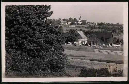 Fotografie Brück & Sohn Meissen, Ansicht Schellerhau im Erzf., Teilansicht des Ortes mit Blick zur Kirche