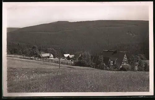 Fotografie Brück & Sohn Meissen, Ansicht Schellerhau i. Erzg., Blick von oben auf dem Ort und die Umgebung