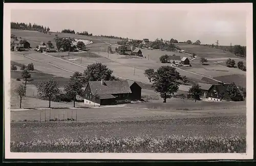 Fotografie Brück & Sohn Meissen, Ansicht Schellerhau i. Erzg., Blick auf den Ort mit alten Wohnhäusern