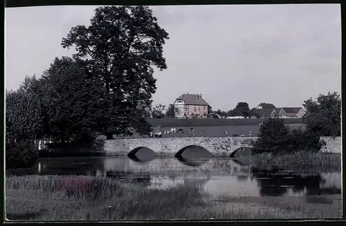 Fotografie Brück & Sohn Meissen, Ansicht Grillenburg, Blick vom Schloss auf den Ort mit Kuhweide