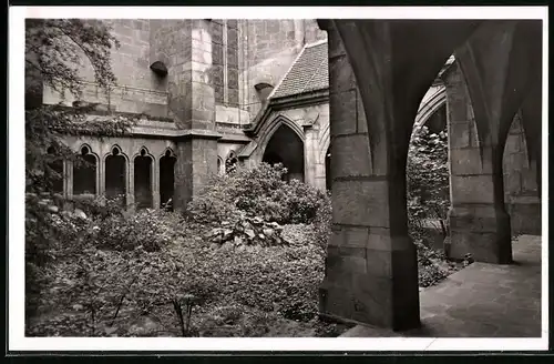 Fotografie Brück & Sohn Meissen, Ansicht Meissen i. Sa., Der Kreuzgang im Dom zu Meissen