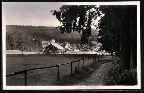 Fotografie Brück & Sohn Meissen, Ansicht Steinbach b. Johanngeorgenstadt, Partie am Waldesrand mit Blick zum Ort