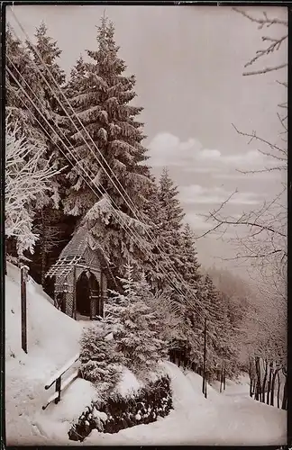 Fotografie Brück & Sohn Meissen, Ansicht Kipsdorf, Waldpartie im verschneiten Winter
