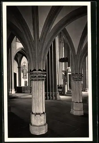 Fotografie Brück & Sohn Meissen, Ansicht Meissen i. Sa., im Dom Blick in das Langhaus