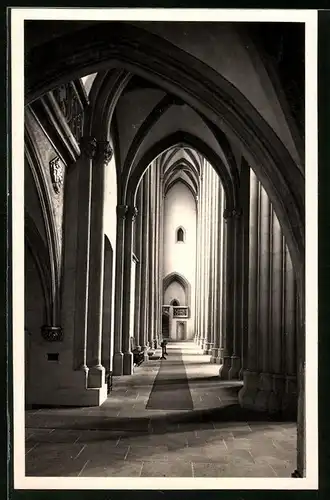 Fotografie Brück & Sohn Meissen, Ansicht Meissen i. Sa., im Dom, Südliches Seitenschiff gegen Westen