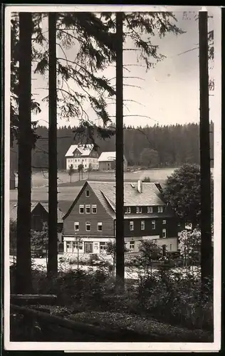 Fotografie Brück & Sohn Meissen, Ansicht Steinbach b. Johanngeorgenstadt, Blick nach dem Hotel Waldesruhe