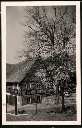 Fotografie Brück & Sohn Meissen, Ansicht Klipphausen / Saubachtal, Partie an der Neudeckmühle