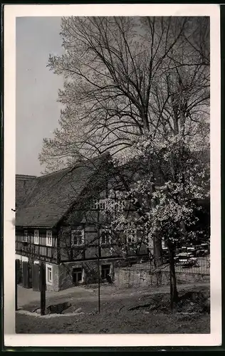 Fotografie Brück & Sohn Meissen, Ansicht Klipphausen im Saubachtal, Blick auf die Neudeckmühle