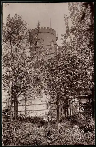 Fotografie Brück & Sohn Meissen, Ansicht Collm, Turm auf dem Collmberg bei Oschatz