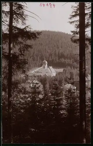 Fotografie Brück & Sohn Meissen, Ansicht Kipsdorf i. Erzg., Blick aus dem Wald auf die Kirche