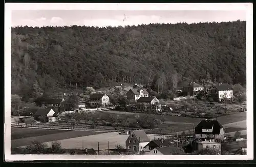 Fotografie Brück & Sohn Meissen, Ansicht Diesbar-Nieschütz, Blick auf den Ort mit Wohnhäusern