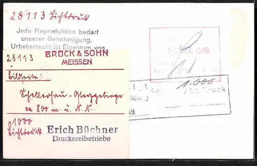 Fotografie Brück & Sohn Meissen, Ansicht Schellerhau i. Erzg., Blick auf das Heim der Universalen