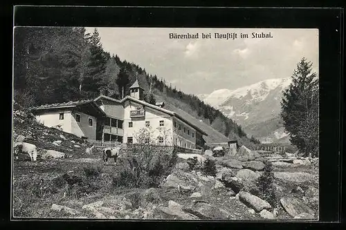 AK Neustift /Stubaital, Idyllischer Blick aufs Bärenbad