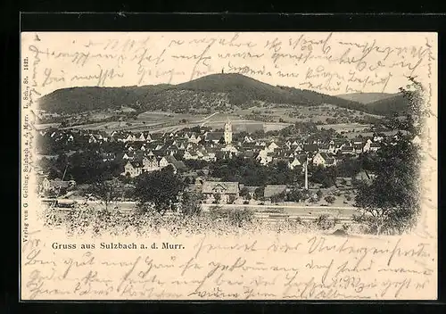 AK Sulzbach a. M., Panorama