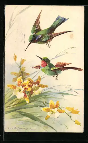 Künstler-AK Catharina Klein: Gelbe Blüten an einem Ast mit grünen Kolibris