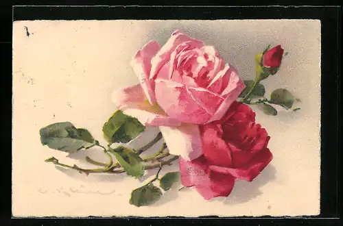Künstler-AK Catharina Klein: Rosafarbene und rote Rosen