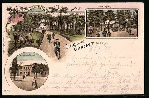 Lithographie Zöckeritz bei Bitterfeld, Garten-Anlagen, Waldgasthaus und Forstmeisterei