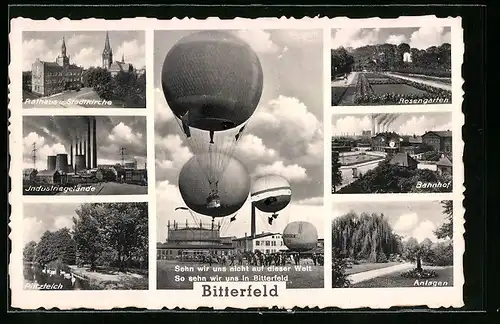 AK Bitterfeld, Rathaus und Stadtkirche, Ballonwettfliegen, Rosengarten