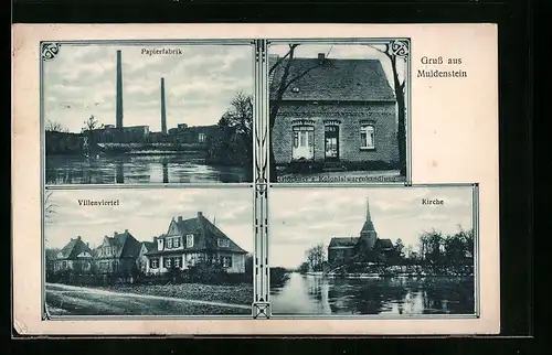 AK Muldenstein, Papierfabrik, Glöckners Kolonialwarenhandlung, Villenviertel, Kirche