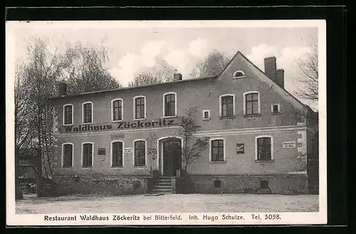 AK Bitterfeld, Restaurant Waldhaus Zöckeritz, Inh.: Hugo Schulze