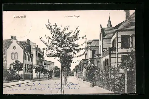 AK Salzwedel, Strassenpartie mit Grosser Stegel