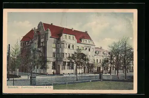 AK Bitterfeld, Bankhaus Schauseil & Co., Strassenansicht