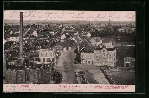 Relief-AK Bitterfeld, Gesamtansicht vom Flugzeug aus