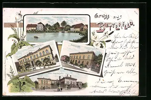Lithographie Bitterfeld, Teich mit Lobermühle, Kreis Ständehaus, Amtsgericht