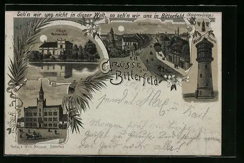 Mondschein-Lithographie Bitterfeld, Wasser- Thurm, Kaiser-Strasse, Rathaus