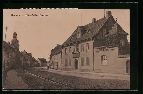 AK Brehna, Bitterfelder Strasse mit Frau