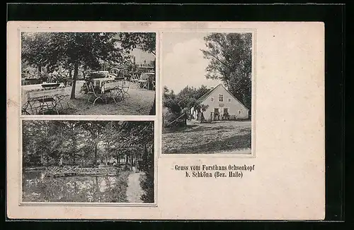 AK Schköna /Bez. Halle, Gasthaus Forsthaus Ochsenkopf, Garten, Uferpartie
