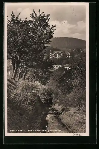 AK Bad Reinerz, Blick nach dem Sanatorium