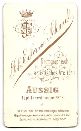 Fotografie Joh. Edler von Schmidt, Aussig, Teplitzerstrasse 13, Ältere Dame mit Haube und Kragenbrosche